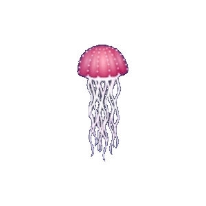 Glowing Pink Jellyfish